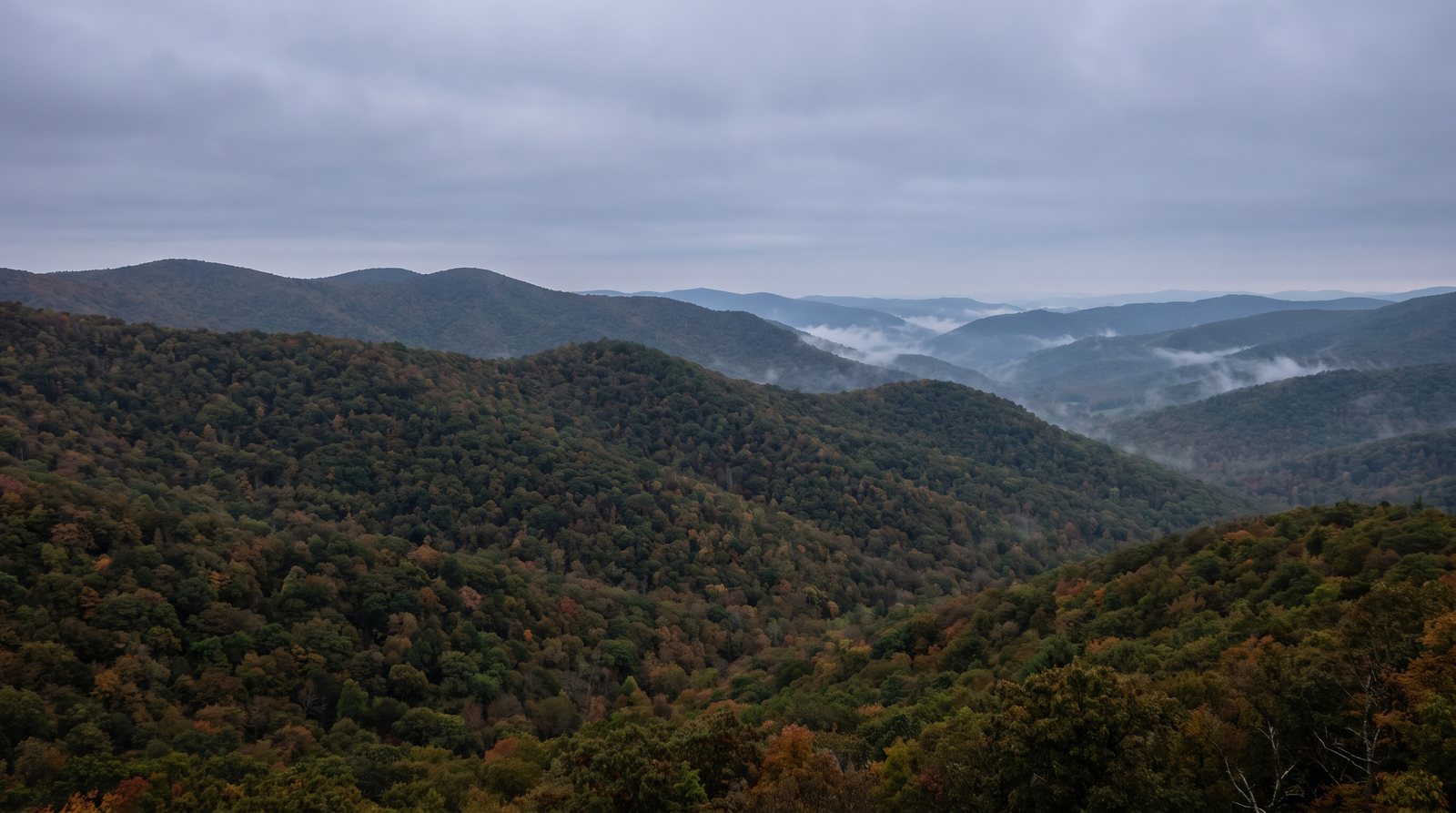 Forested Green Mountain ridgelines in central Vermont under morning mist